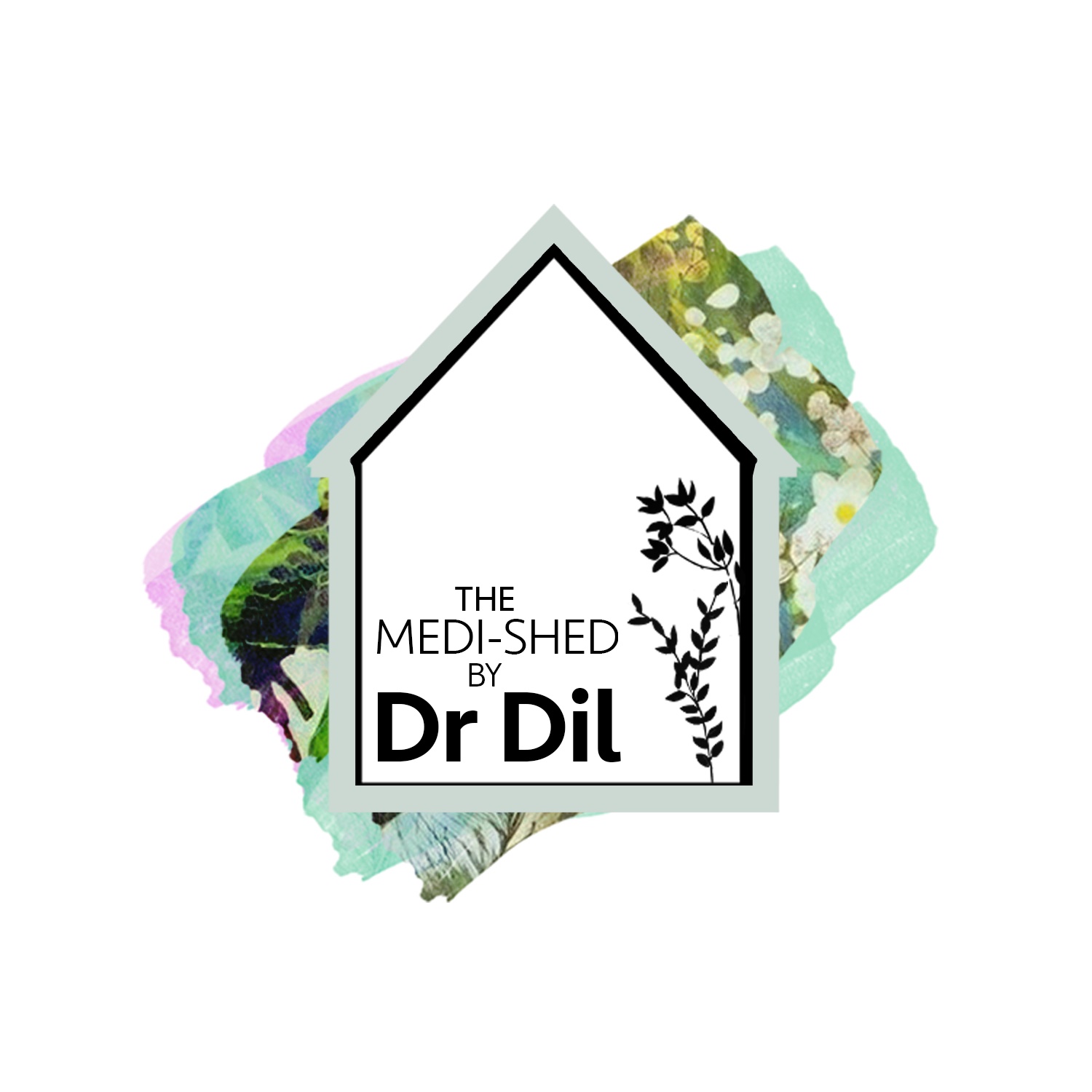 The Medished by Dr Dil