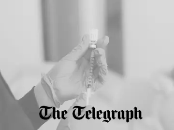 the telegraph feat image.png